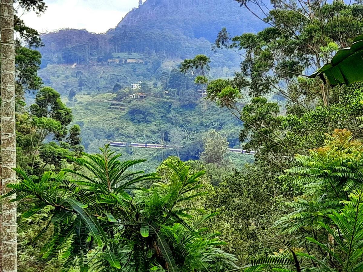New View Lodge Ella